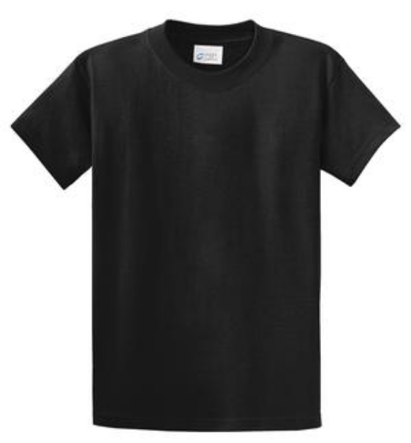 Picture of Port and Authority Essential Tee PC61