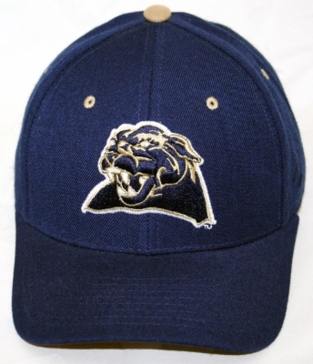 University of Pittsburgh DHS Zephyr Hat front view