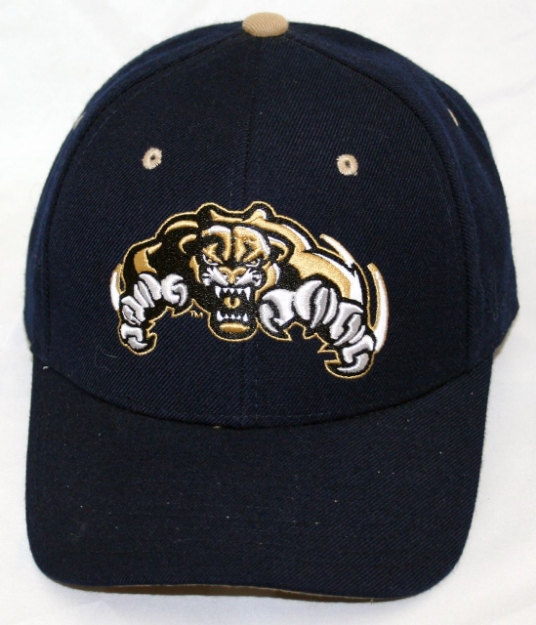 Picture of BYU Cougars DHS X-Line Hat