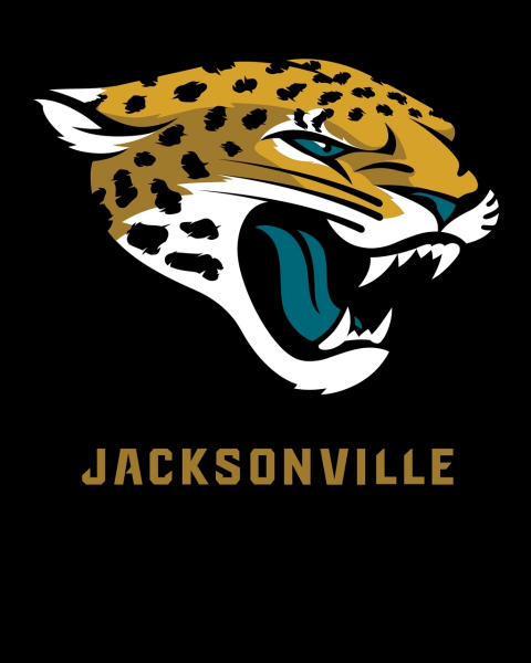 Picture for category Jacksonville Jaguars