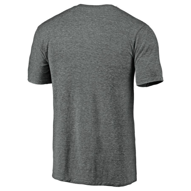 St. Louis Blues Fanatics Branded 2019 Stanley Cup Champions Ice Rink Tri-Blend T-Shirt - Heather Gray back view