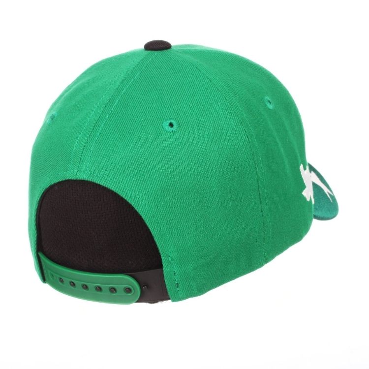Zephyr North Texas Eagle Snapback Hat side view
