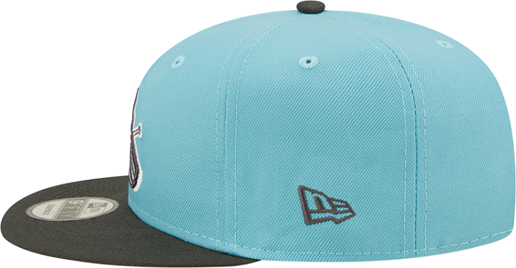 New Era St. Louis Cardinals Teal 2T Color Pack 9Fifty Men's Snapback Hat