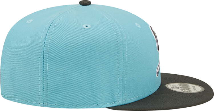 New Era St. Louis Cardinals Teal 2T Color Pack 9Fifty Men's Snapback Hat