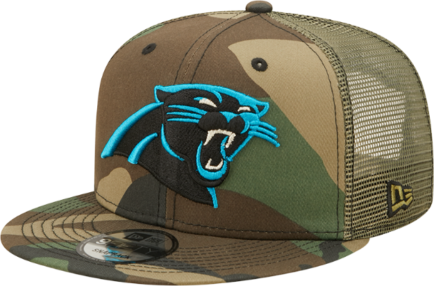 panthers new era hat