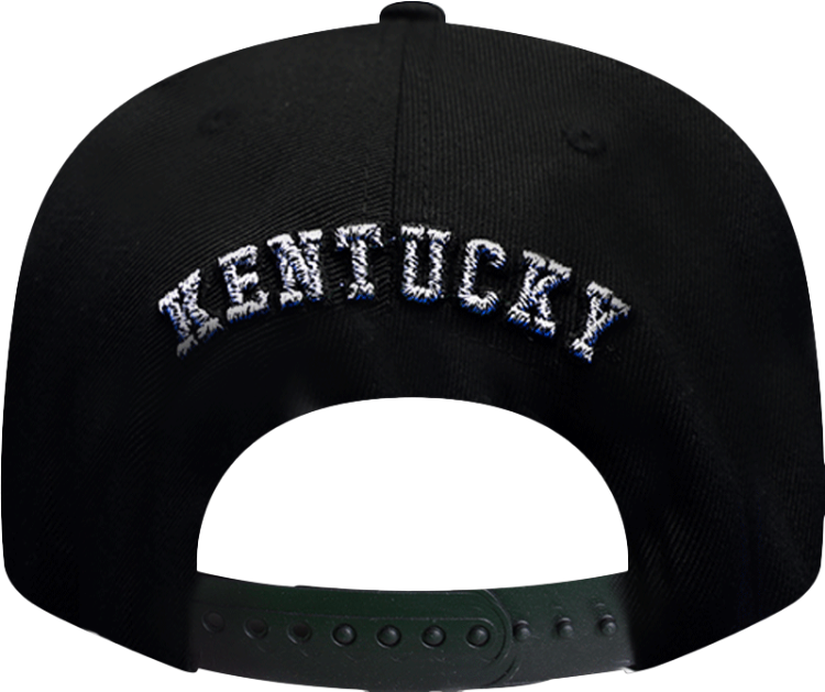 University of Kentucky Tungsten Black Snapback Hat by Zephyr back view