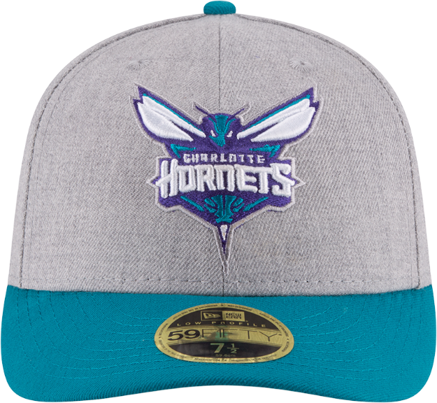 Charlotte Hornets Hats