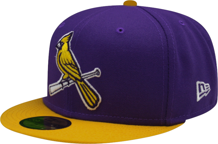 St. Louis Cardinals Custom New Era 5950 Fitted Verse Lakers Cap with Birds on Bat front view