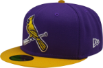 St. Louis Cardinals Custom New Era 5950 Fitted Verse Lakers Cap with Birds on Bat