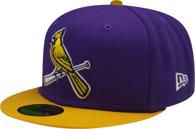 St. Louis Cardinals Custom New Era 5950 Fitted Verse Lakers Cap with Birds on Bat front view