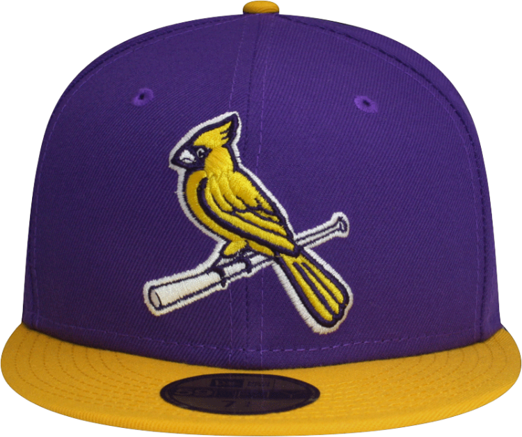 St. Louis Cardinals Custom New Era 5950 Fitted Verse Lakers Cap with Birds on Bat side view