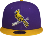 St. Louis Cardinals Custom New Era 5950 Fitted Verse Lakers Cap with Birds on Bat