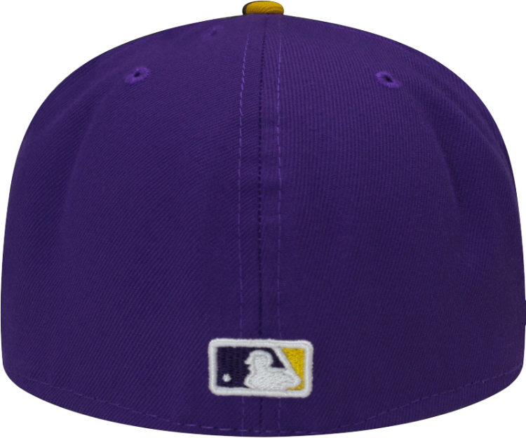 St. Louis Cardinals Custom New Era 5950 Fitted Verse Lakers Cap with Birds on Bat back view