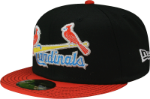 Fan Cave x New Era Exclusive St Louis Cardinals Birds on a Bat Miami