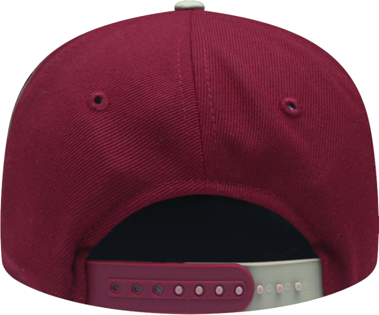 Zephyr Youth Florida State Seminoles St. Peek Adjustable Hat back view