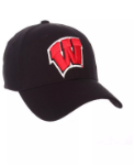 Wisconsin Badgers DHS (Claw) Zephyr Fitted Cap
