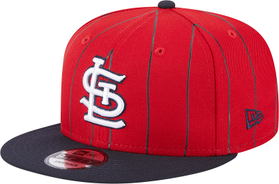 Men's Red St. Louis Cardinals STL Vintage Bird Pinstripe 9fifty Snapback Cap front view