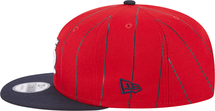 Men's Red St. Louis Cardinals STL Vintage Bird Pinstripe 9fifty Snapback Cap