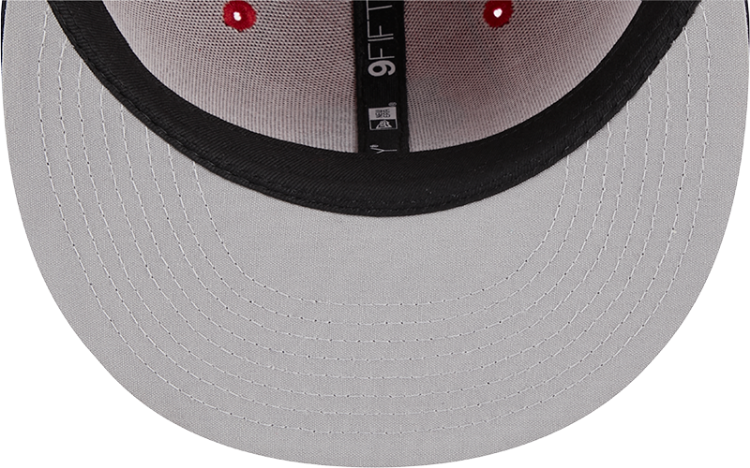 Men's Red St. Louis Cardinals STL Vintage Bird Pinstripe 9fifty Snapback Cap image 7