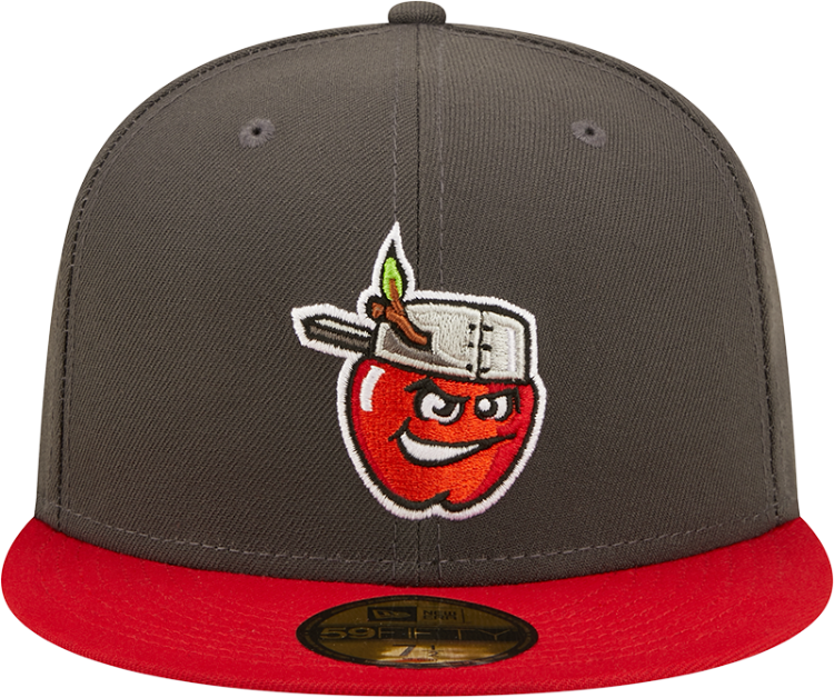 Men's Fort Wayne TinCups New Era Grey/Red Authentic Collection Team Home 59FIFTY Fitted Hat back view