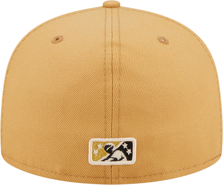 Men's Lehigh Valley Iron Pigs New Era Authentic Collection Team Home 59FIFTY Fitted Hat back view