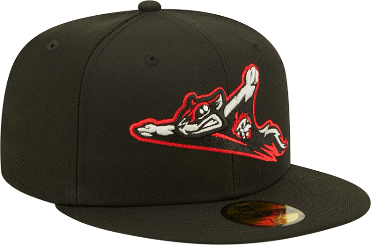 Men's Richmond Flying Squirrels New Era Authentic Collection Team Home 59FIFTY Fitted Hat front view