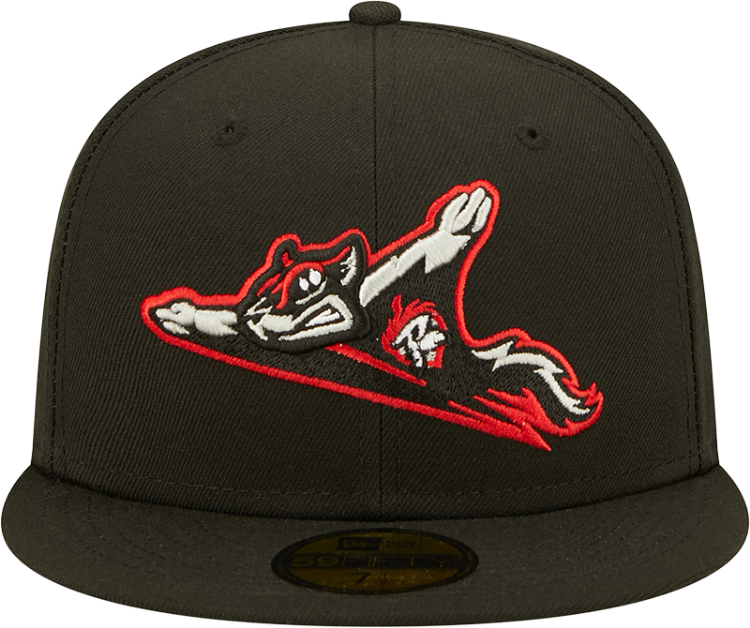 Men's Richmond Flying Squirrels New Era Authentic Collection Team Home 59FIFTY Fitted Hat back view