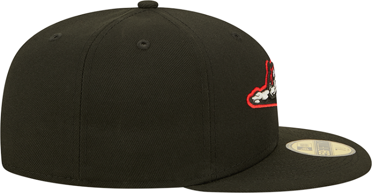 Men's Richmond Flying Squirrels New Era Authentic Collection Team Home 59FIFTY Fitted Hat