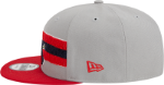 Men's St. Louis Cardinals Bird New Era Gray/Red Band 9FIFTY Snapback Hat