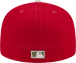 St. Louis Cardinals Canvas A Frame New Era 30th Anniversary Busch Stadium 5950 Fitted Cap