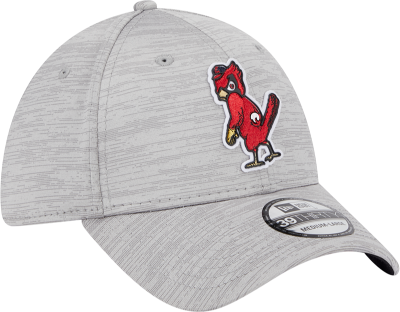 Men's St. Louis Cardinals New Era Gray 2023 Clubhouse 39THIRTY Flex Hat front view