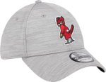 Men's St. Louis Cardinals New Era Gray 2023 Clubhouse 39THIRTY Flex Hat