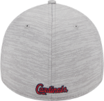 Men's St. Louis Cardinals New Era Gray 2023 Clubhouse 39THIRTY Flex Hat