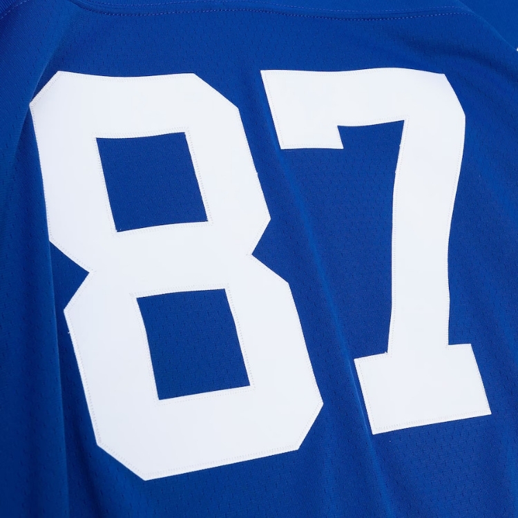 Men's Reggie Wayne Royal Indianapolis Colts 2006 Legacy Jersey detail view
