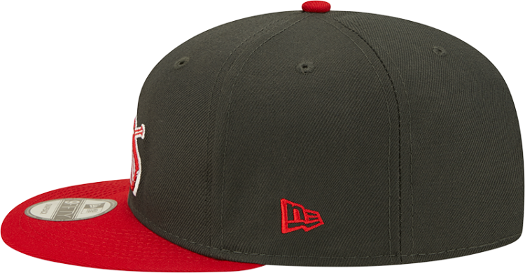 Picture of The St. Louis Cardinals 9FIFTY Two-Tone Snapback by New Era