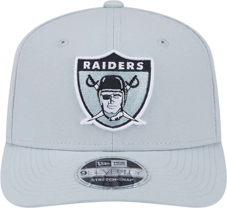 Las Vegas Raiders New Era 9SEVENTY Stretch-Snap Hat – Silver back view