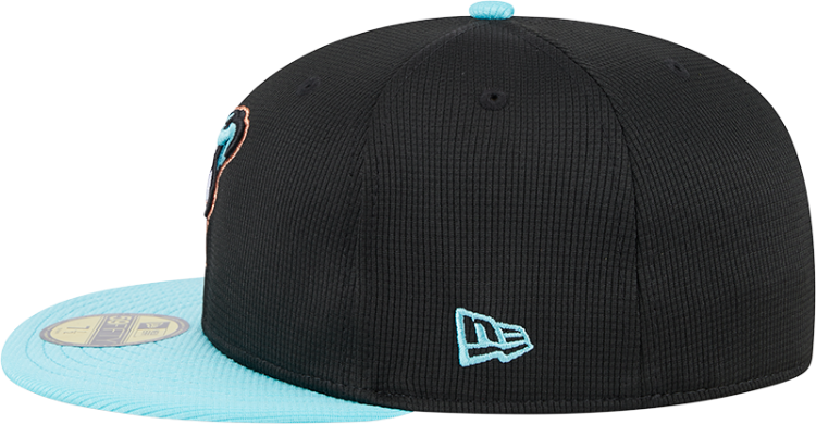 Arizona Diamondbacks 59FIFTY Fitted Hat by New Era detail view