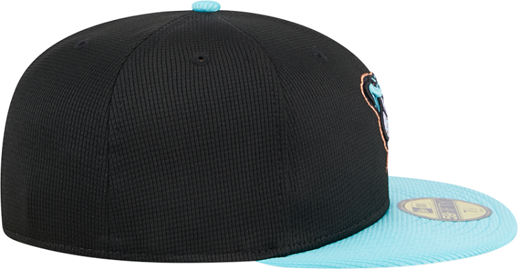 Arizona Diamondbacks 59FIFTY Fitted Hat by New Era image 6